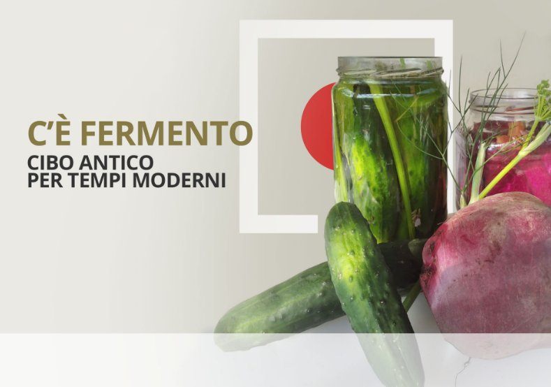 c.e_fermento