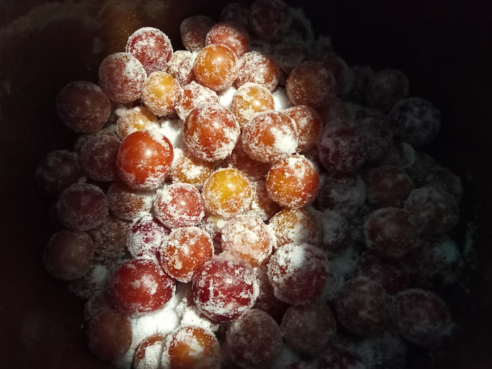 umeboshi